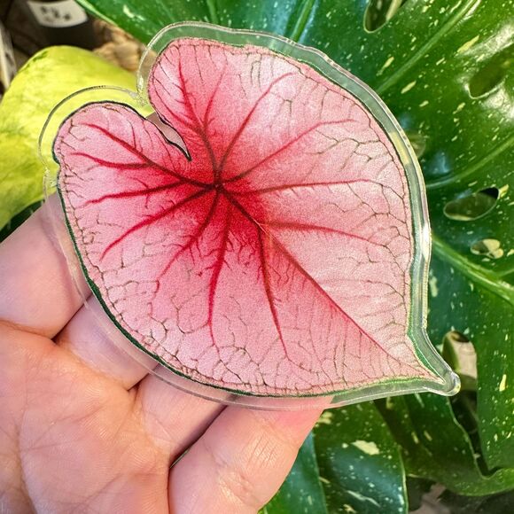 Set of 9 Handmade Anthurium Leaf Resin Fridge Magnets, Tropical Plant Decor - Picture 7 of 10